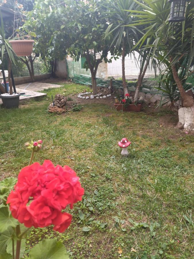 Готель Sofis Garden Кавала Номер фото